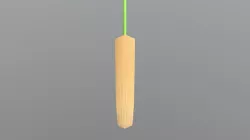 Cricket Bat