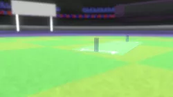 Cricket stadium