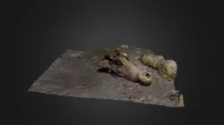 Croc