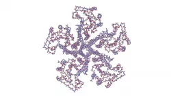 Cryo-EM structure of the magnesium channel CorA