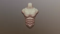 Cuerpp