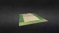 Cultivo de arroz paddy
