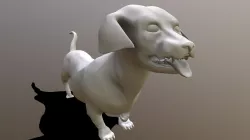 dachshund