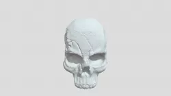 Damaged skull