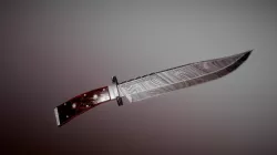 Damascus Knife