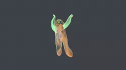 Dancer