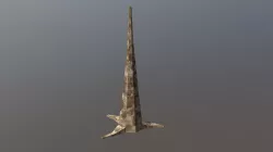 Dead Prehistoric Pine Tree