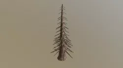Dead-tree