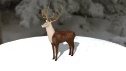Deer