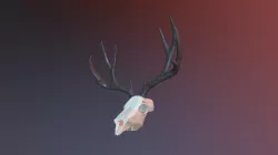 Deer Skull