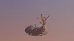 Desert