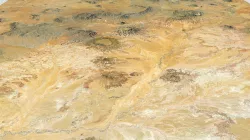 Desert