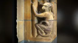 Detail, Hintze Hall (Monkey)