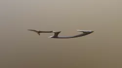 Diana's Sword