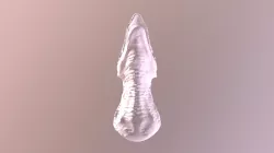 Dinosaur Head