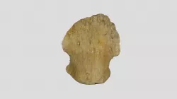 Dinosaur Pedal Element