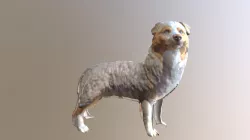 Dog 2 (Standing)