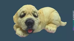 Dog Figure — Foldio360 + Autodesk ReMake