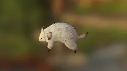 Dogwolf