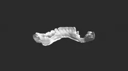 Dolny Model Orientacyjny