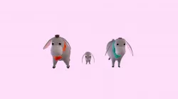 Donkeys