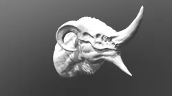 Dragon Head ( TESTING RETOPO)