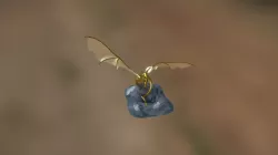 Dragon roost