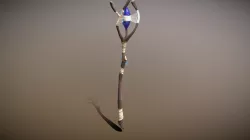 Druid Staff
