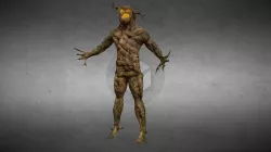 Dryad