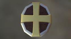 Dual Purpose Shield