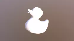 Duck2