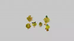 ducks