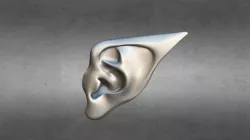 Ear - Elf 1