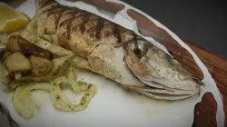 Eataly branzino