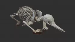 Echidna (point cloud)