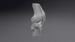 Education model of knee