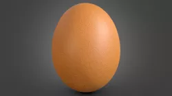 Egg