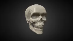 Ejercicio_2_1_Skull_Izaskun_Arraiz