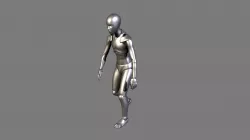 Elderly Walking