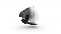 Eledone cirrhosa Beak - without muscles