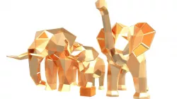 Elephant Family Parametric