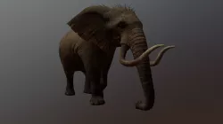 Elephant Walk
