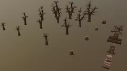 Elm Trees - Dead