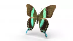 Experiment: Laserscan Photogrammetry combined