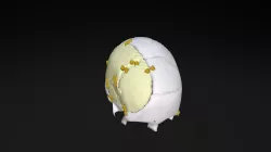 Exploding Skull