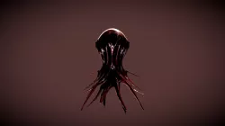 eye