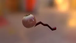 eye