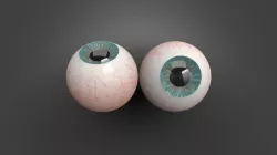 Eye