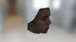 Face 1 Edit