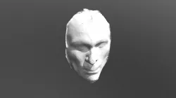 Face